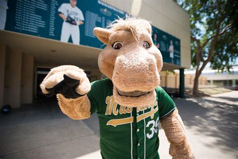The Impact of the Cal Poly SLO Mascot: How It Boosts School Spirit and Unity